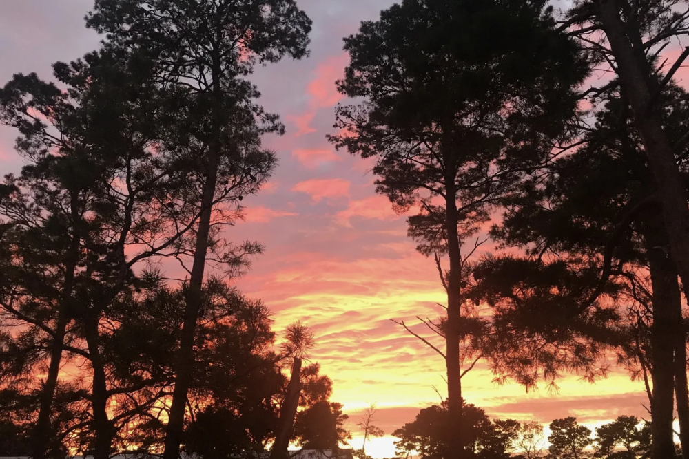 Seagrove 41