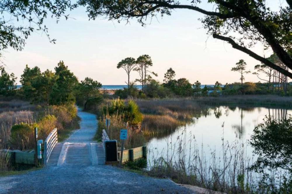 Inlet Beach 25