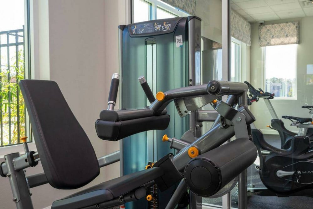 Storey Lake Resort 1172