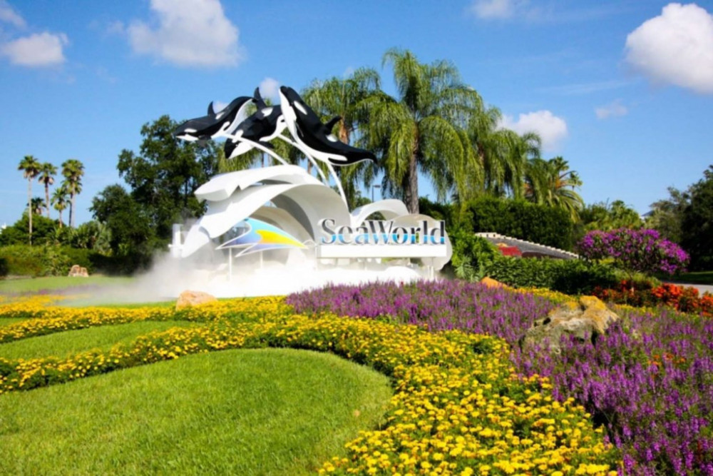 Paradise Palms Resort 354