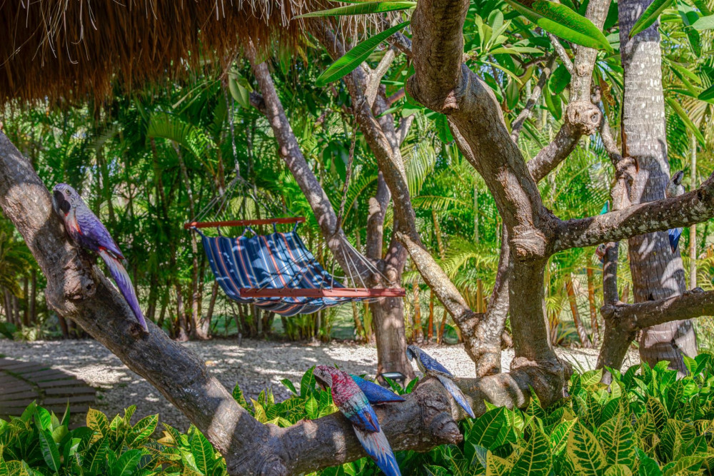 Punta Cana Resort & Club 67