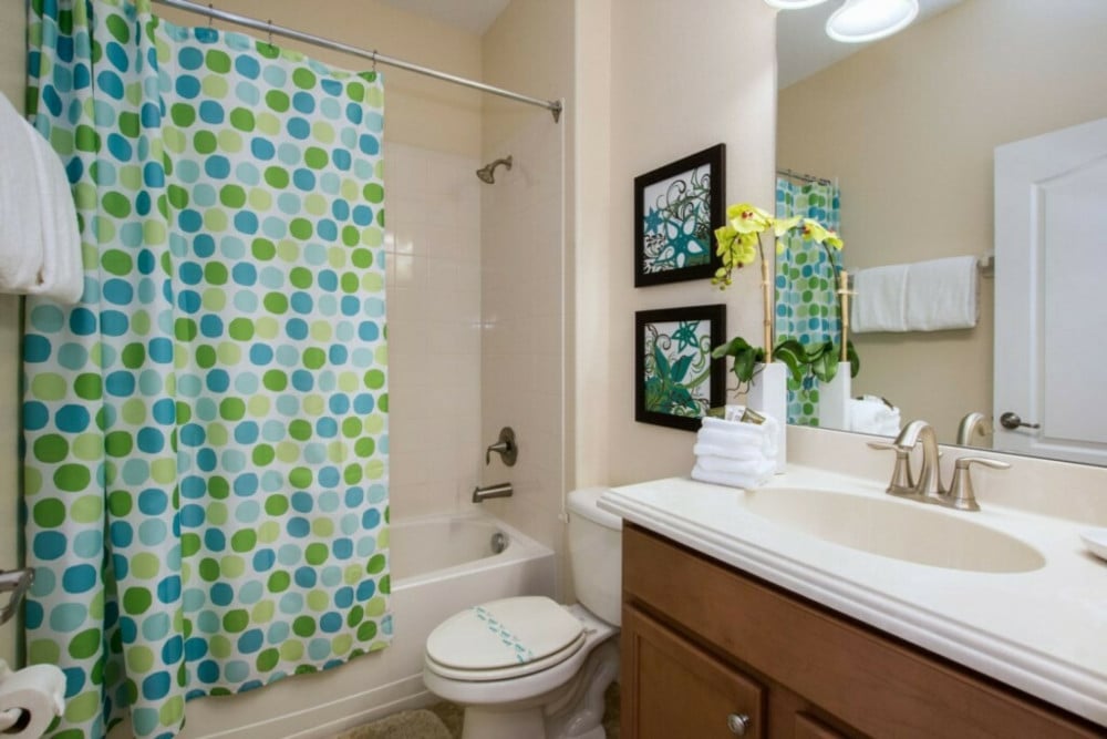 Paradise Palms Resort 356