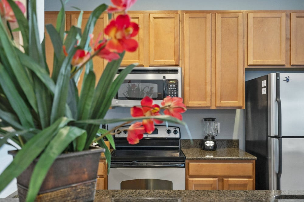 Paradise Palms Resort 355