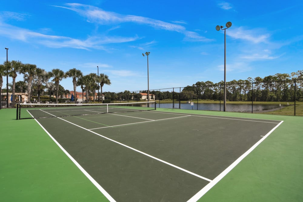 Paradise Palms Resort 360