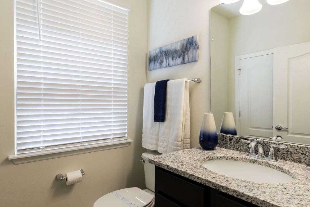 Windsor at Westside 1266