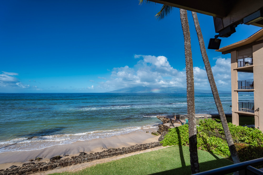 Maui 145