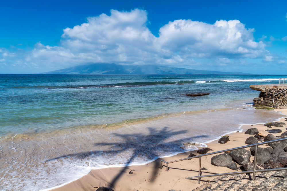 Maui 145