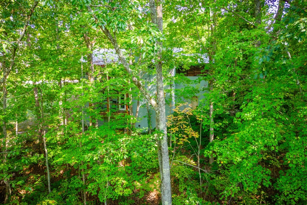 Pigeon Forge 249