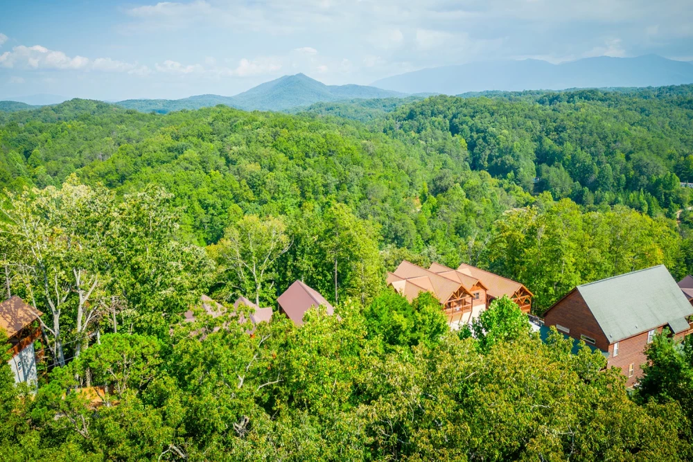 Pigeon Forge 249