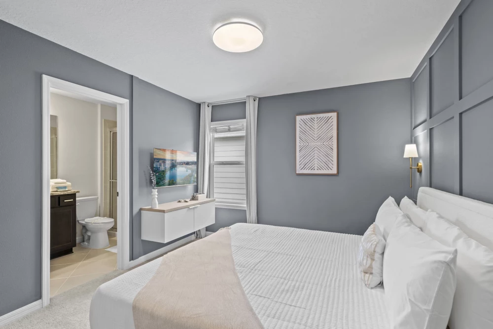 Windsor Cay 41