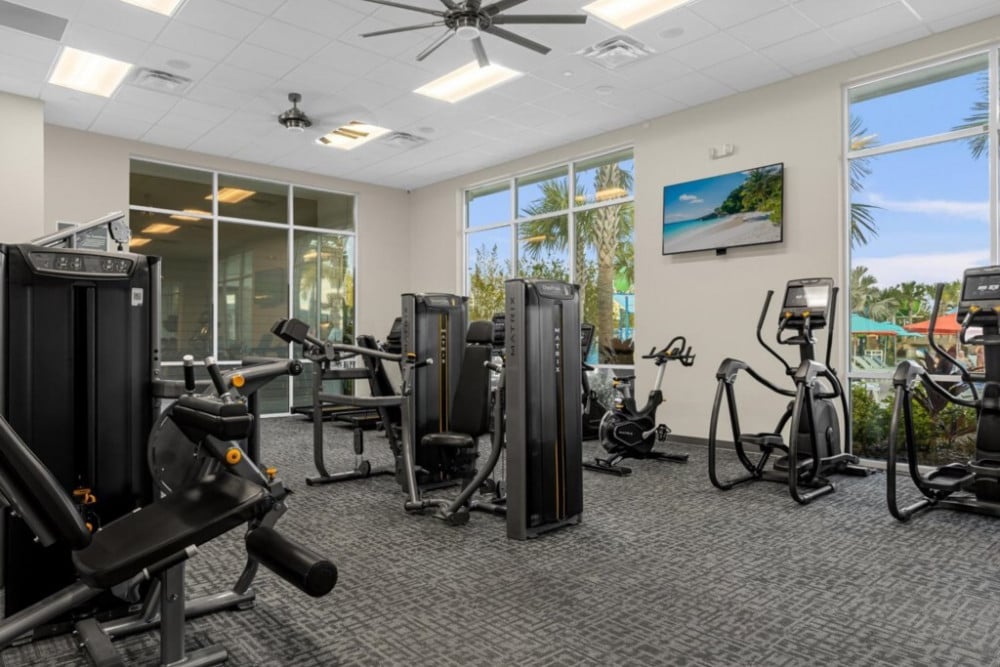 Windsor Island Resort 406