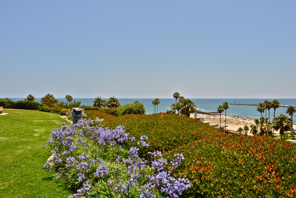 Newport Beach 37