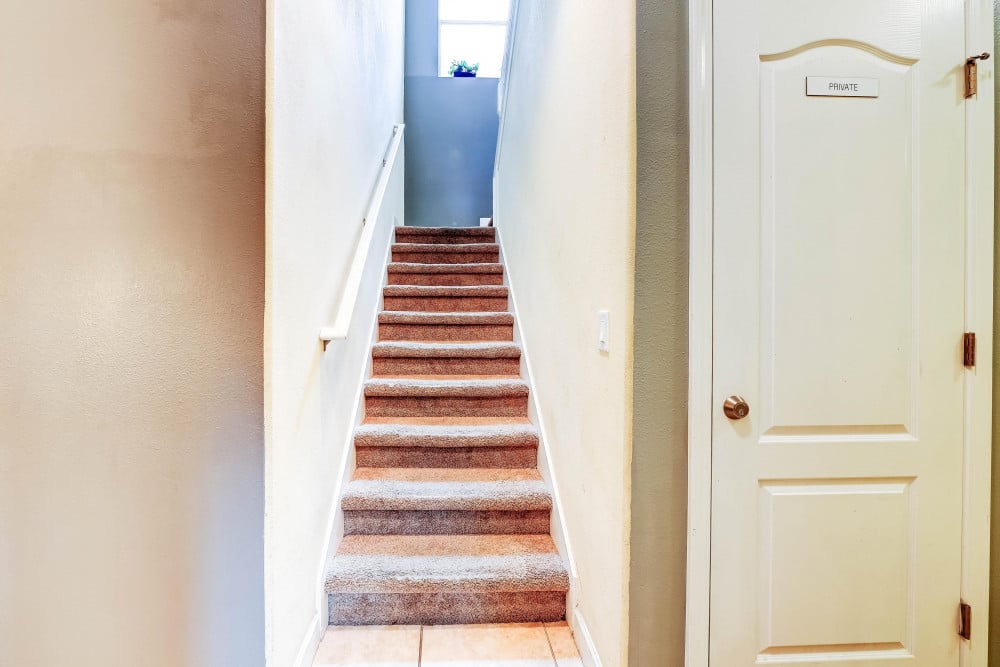 Paradise Palms Resort 395