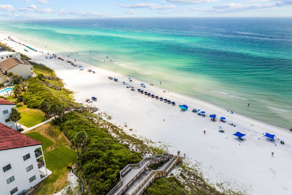 Seagrove 62