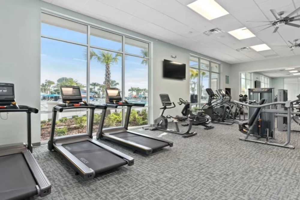 Windsor Cay 5