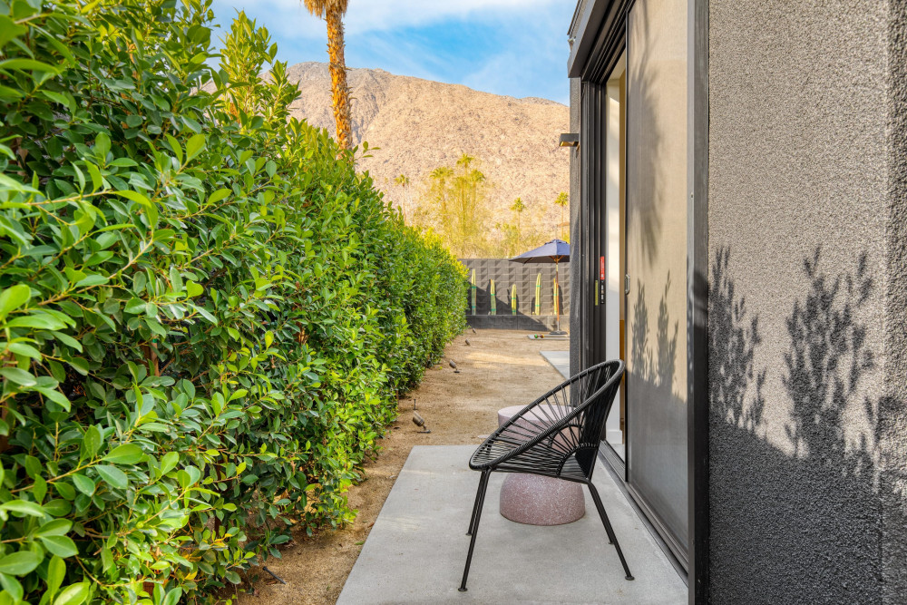 Palm Springs 186