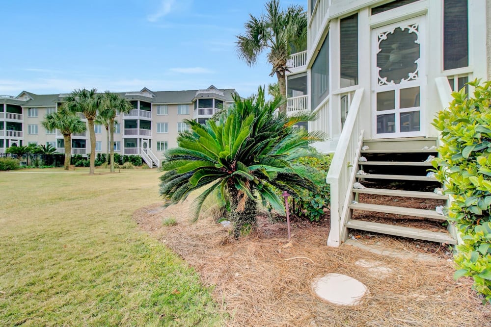 Isle of Palms 55