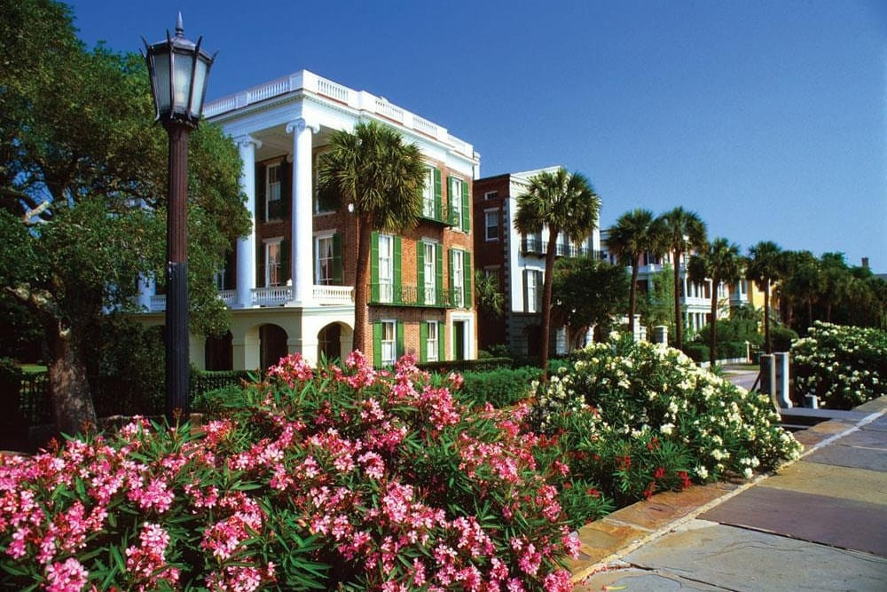 Isle of Palms 58