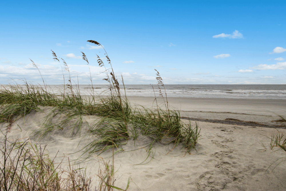 Isle of Palms 23