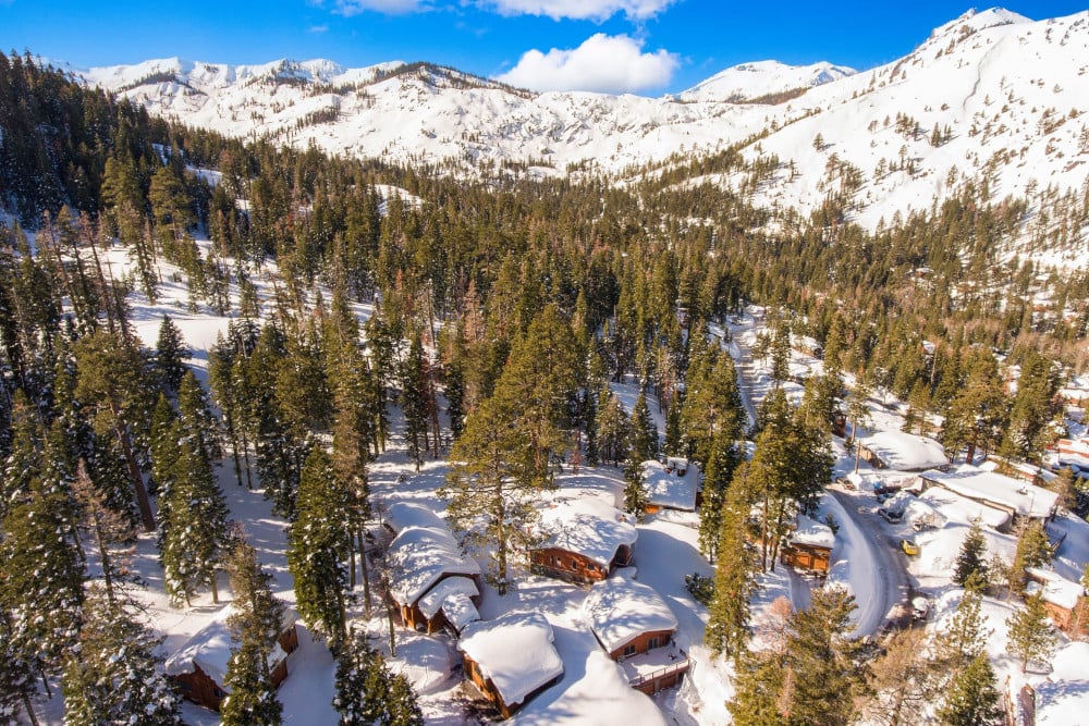 Alpine Meadows 1