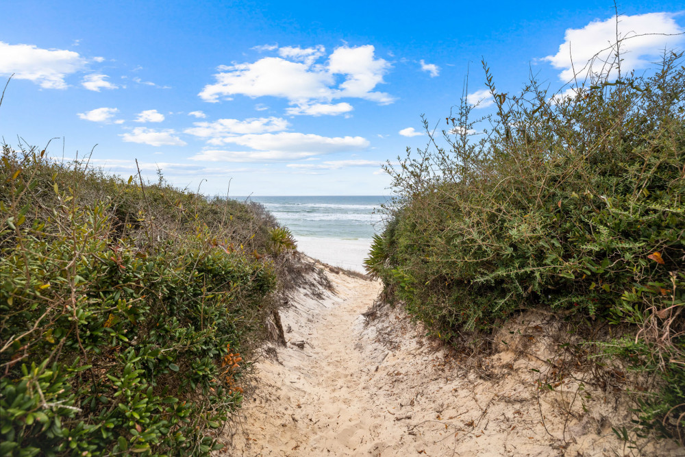 Seagrove 61