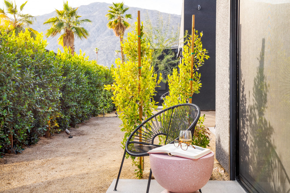 Palm Springs 64
