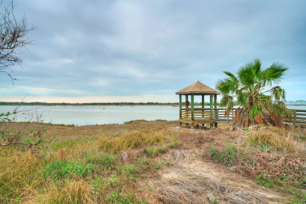 Port Aransas 32