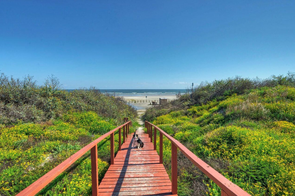 Port Aransas 173
