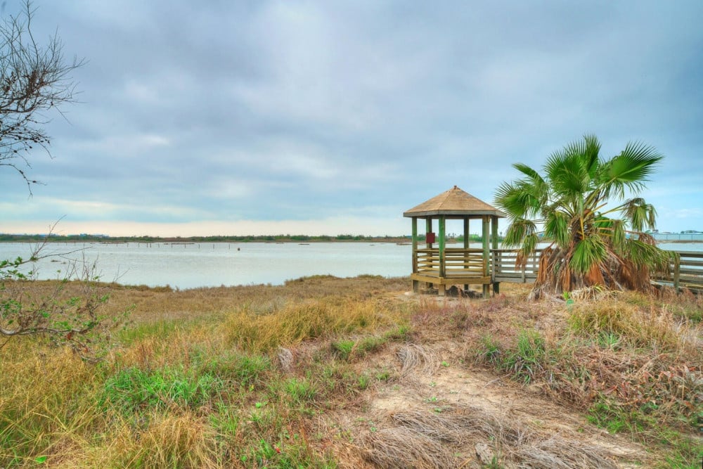 Port Aransas 50