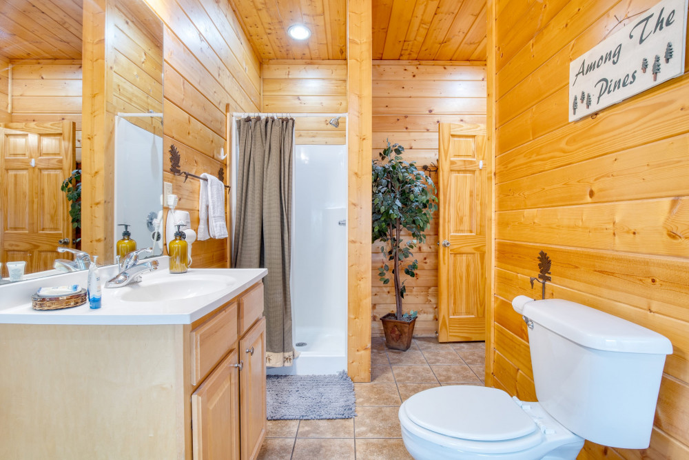 Sevierville 120
