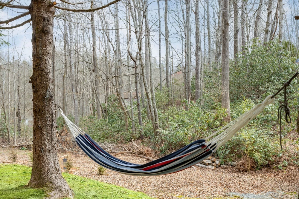 Asheville 46