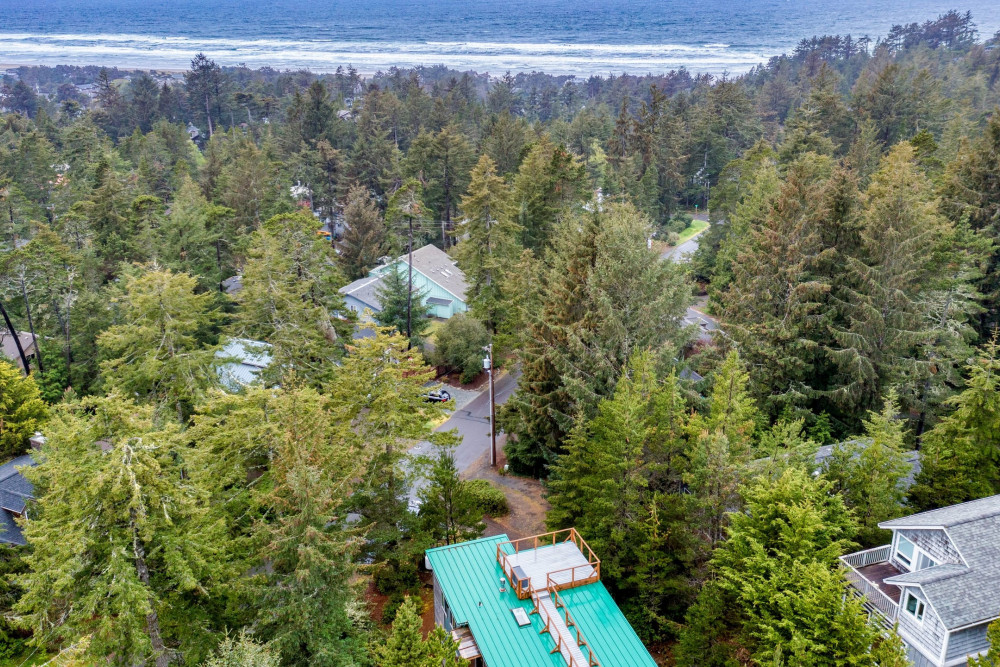 Manzanita 4