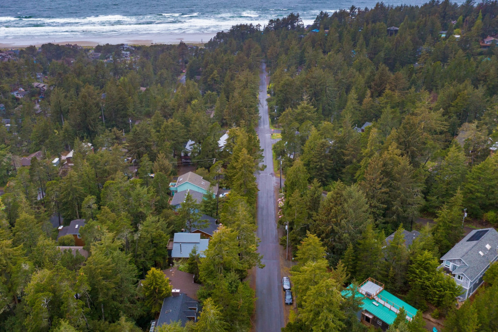 Manzanita 4