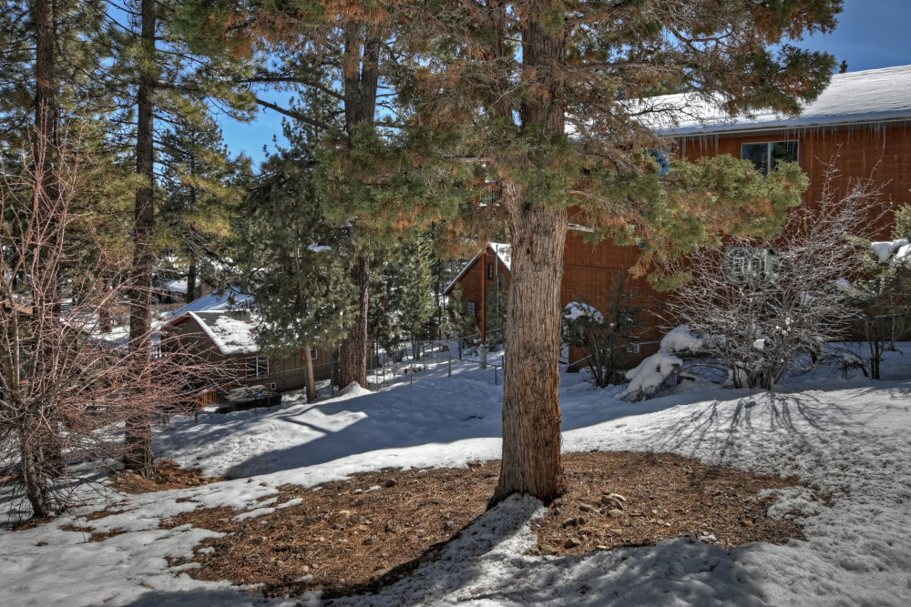Big Bear 1