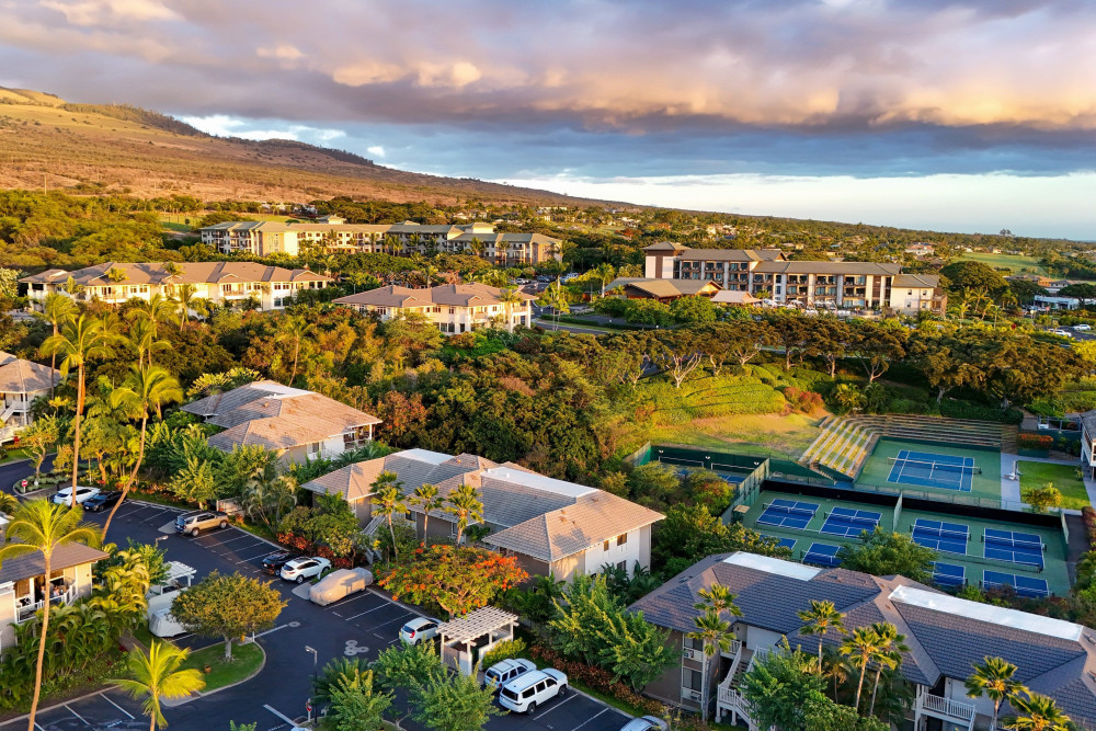 Maui 77