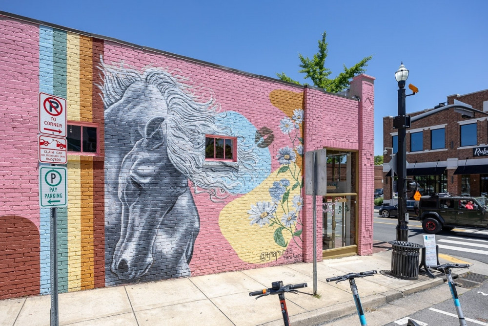Nashville 224