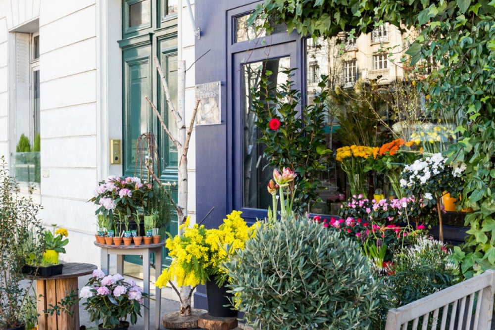 Classic Montparnasse