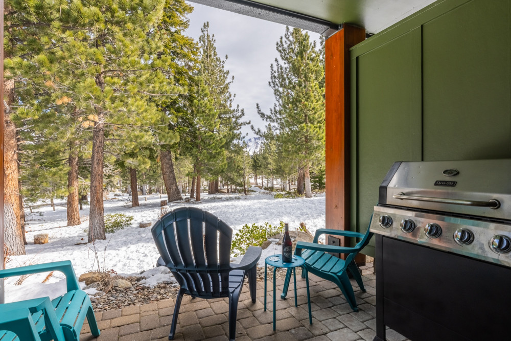 Mammoth Lakes 93