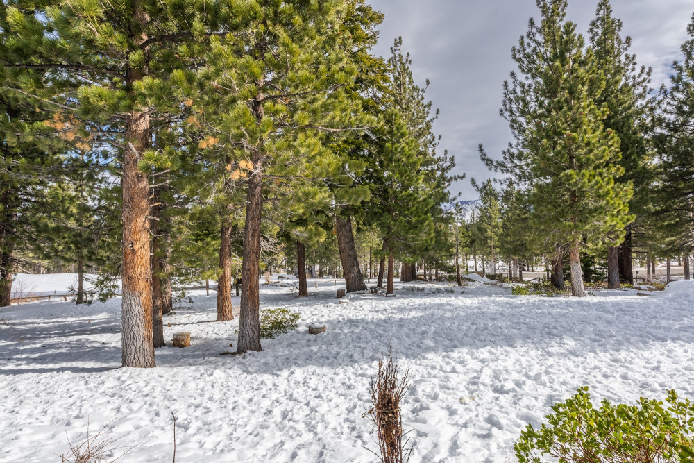 Mammoth Lakes 93