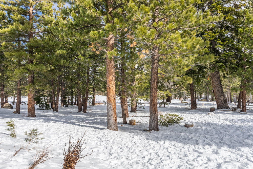 Mammoth Lakes 93