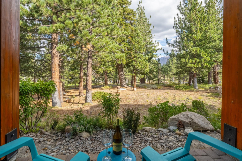 Mammoth Lakes 93