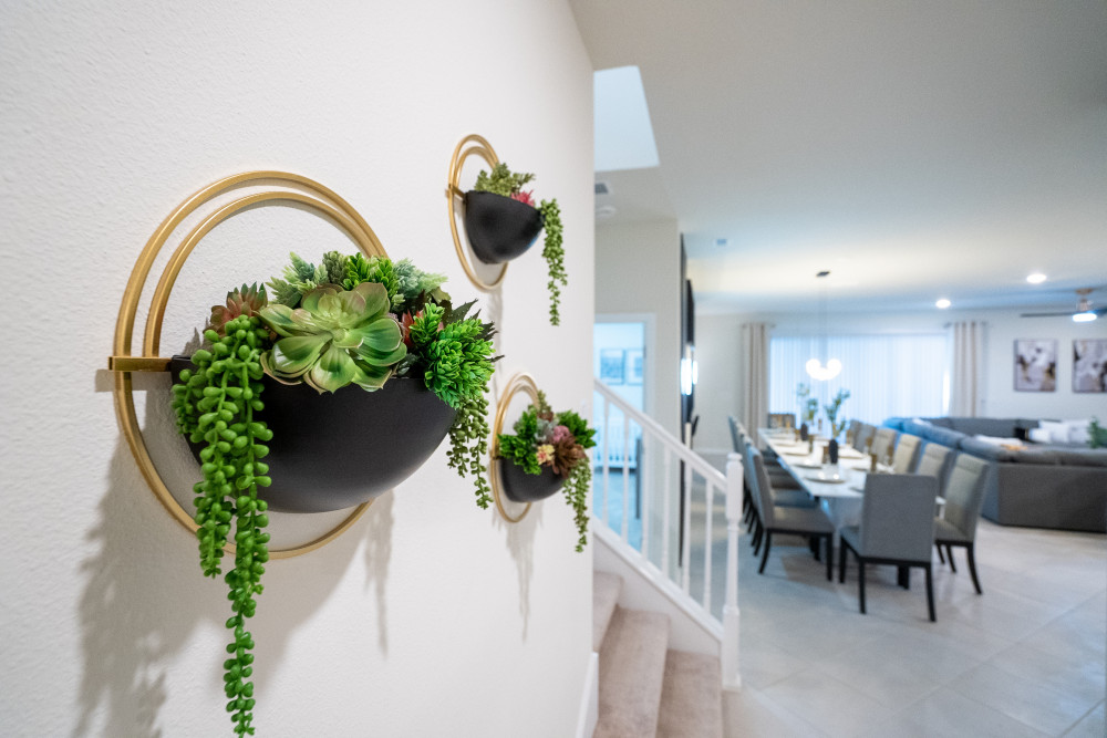 Windsor Cay 45