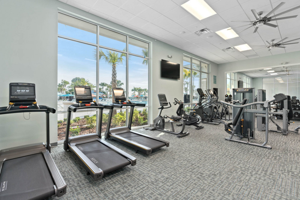 Windsor Cay 45