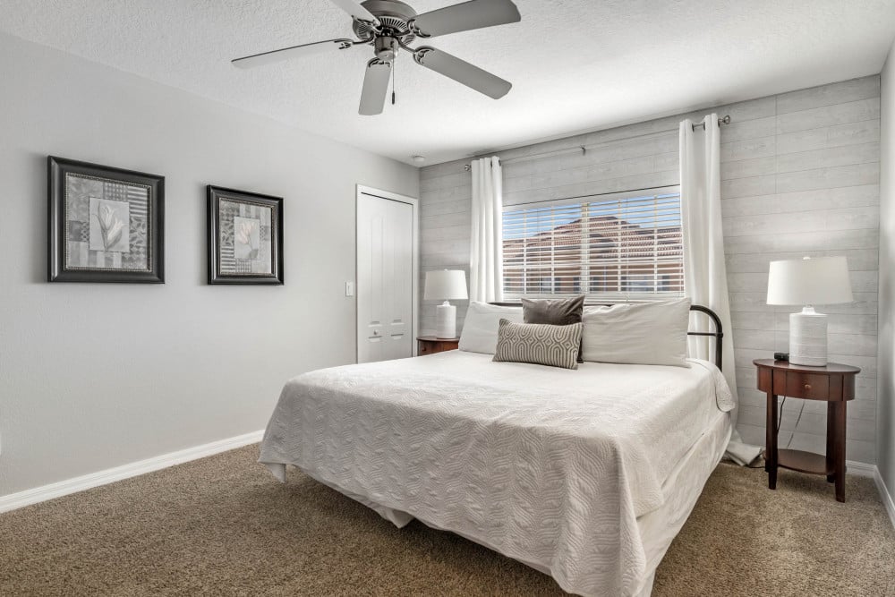 Paradise Palms Resort 87