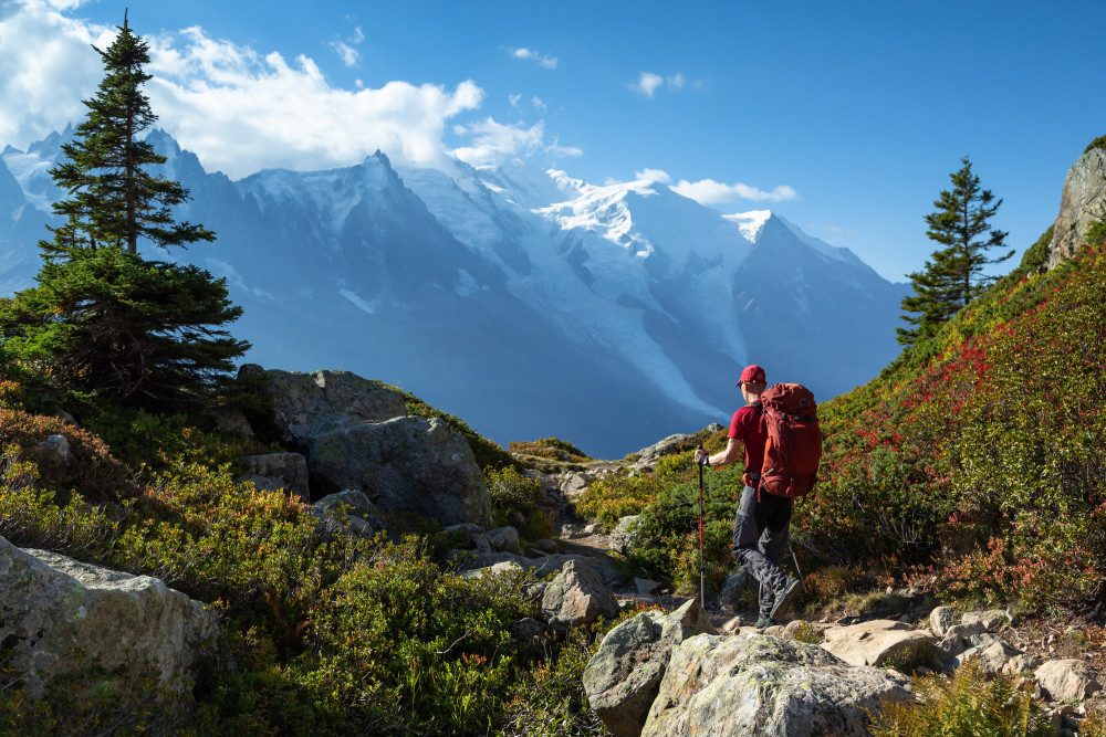 Argentiere 93