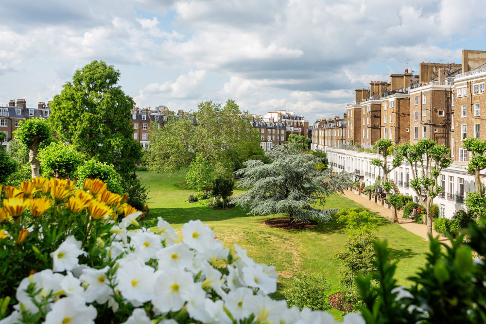 Garden Square Serenity