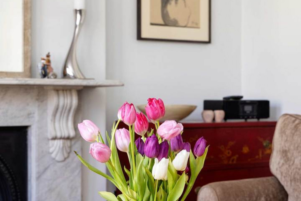 Sophisticated Sutherland