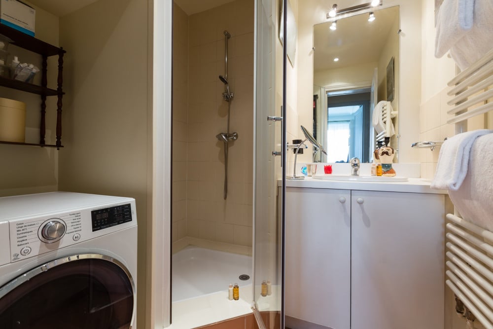 Overlooking the Seine on Ile de la Cité