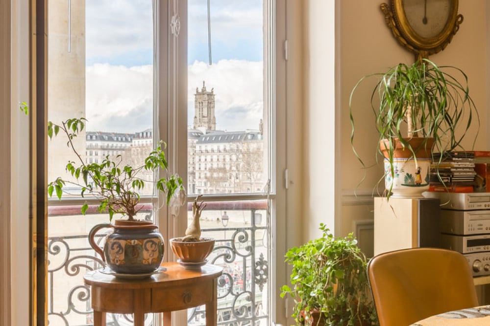 Overlooking the Seine on Ile de la Cité