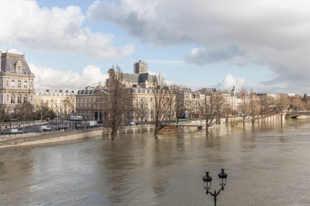 Overlooking the Seine on Ile de la Cité